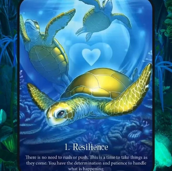 1st Posh Live NOW! Manifesting Magic Up On Here!!! 🔮✨🧙‍♀️🪄💎 - Picture 6 of 15